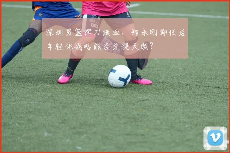 深圳男篮挥刀换血,郑永刚卸任后年轻化战略能否兑现天赋?
